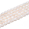 Natural Cultured Freshwater Pearl Beads Strands PEAR-N012-04L-01-5