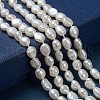 Natural Cultured Freshwater Pearl Beads Strands PEAR-S012-77A-5