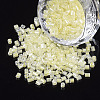 8/0 Two Cut Glass Seed Beads SEED-S033-10A-06-1