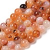 Natural Red Agate Beads Strands G-A248-A06-06-2