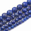 Natural Lapis Lazuli Beads Strands G-S333-8mm-013-5