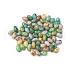 60Pcs 10G Baking Paint Glass Seed Beads GLAA-V001-06-1