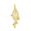 Rack Plating Brass Pendants KK-U029-20G-1