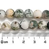 Natural Tree Agate Frosted Agate Round Gemstone Beads Strands X-G-O151-01-8mm-3