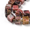 Natural Rhodonite Beads Strands G-G053-B11-01C-4