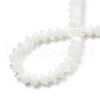 Natural Trochid Shell/Trochus Shell Bead Strands SSHEL-N034-134-4