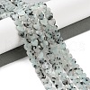 Natural Sesame Jasper Beads Strands G-M403-A40-02-2
