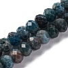 Natural Apatite Beads Strands G-K380-A22-01-1