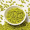 6/0 Opaque Colours Seep Glass Seed Beads SEED-F003-04A-05-2