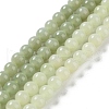Natural Nephrite Jade/Hetian Jade Beads Strands G-NH0005-030B-1