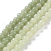 Natural Nephrite Jade Beads Strands G-NH0005-030B-1