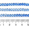Transparent Painted Glass Beads Strands X1-DGLA-A034-T3mm-A01-3