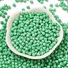 Baking Painted Glass Seed Beads SEED-C004-01D-2