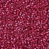 MIYUKI Delica Beads SEED-J020-DB2154-3