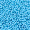 MIYUKI Delica Beads SEED-JP0008-DB0755-3