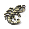 Tibetan Style Alloy Pendants PALLOY-M218-04AB-2