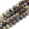 Natural Botswana Agate Beads Strands G-S150-24-8mm-1