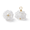 Glass Pendants PALLOY-MZ00673-03-1