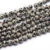 Natural Dalmatian Jasper Round Bead Strands X-G-J303-19-4mm-1