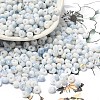 Baking Paint Glass Seed Beads X1-SEED-F006-01A-02-1