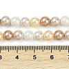 Shell Pearl Beads Strands BSHE-XCP0001-66A-4
