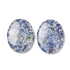 Mother's Day Gifts Natural Blue Spot Jasper Worry Stone for Anxiety Therapy G-B036-01N-1