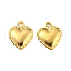 304 Stainless Steel Charm STAS-B047-34G-1