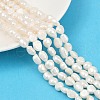 Natural Cultured Freshwater Pearl Beads Strands PEAR-P064-20J-02A-1