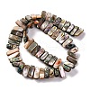 Natural Paua Shell Beads Strands BSHE-B007-01-2
