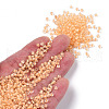 8/0 Transparent Inside Colours Glass Seed Beads SEED-R051-09B-02-4