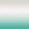 Natural Amazonite & Shell Pearl Beaded Bracelet for Girl Women X1-BJEW-TA00022-9