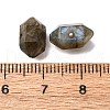 Natural Labradorite Beads G-M452-01G-3
