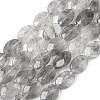 Natural Cloudy Quartz Beads Strands G-F790-B02-01-2