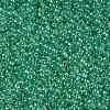 TOHO Round Seed Beads X-SEED-TR11-0343-2