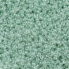 MIYUKI Round Rocailles Beads X-SEED-G007-RR0370-3