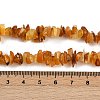 Natural Amber Beads Beads Strands G-Q060-C05-5