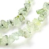 Natural Prehnite Beads Strands G-F575-16-2