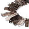 Natural Smoky Quartz Beads Strands G-L551B-13-3