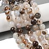Natural Dendritic Agate Beads Strands G-A248-A07-03-1