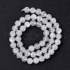 Natural Rainbow Moonstone Beads Strands G-I249-B04-05-2