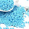 Baking Paint Glass Seed Beads SEED-H002-I-B504-1