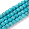 Synthetic Turquoise Beads Strands TURQ-L029-02-8mm-1