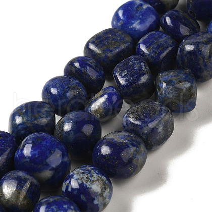 Natural Lapis Lazuli Beads Strands G-B078-D09-02-1