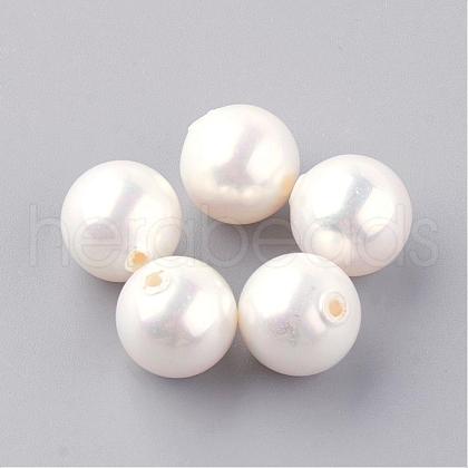 Natural Sea Shell Beads SHEL-Q008-18-8mm-1