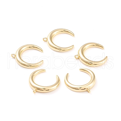 Brass Pendants X-ZIRC-I043-06G-1