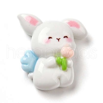 Opaque Resin Cabochons RESI-F049-02C-1