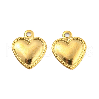 304 Stainless Steel Charm STAS-B047-34G-1