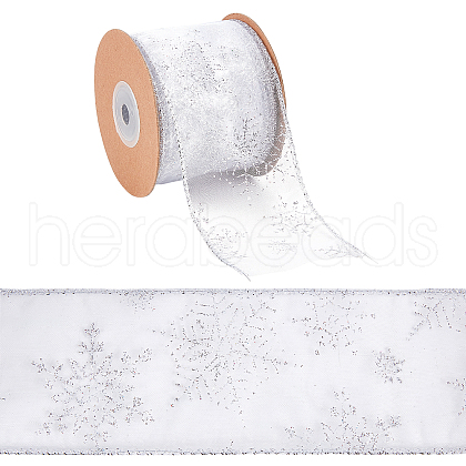 Transparent Single Face Chiffon Ribbon for Christmas OCOR-WH0071-008A-1