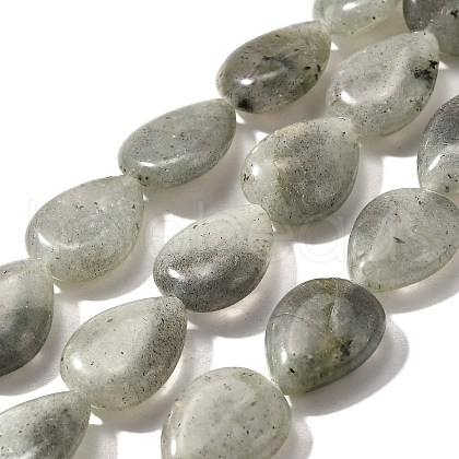 Natural Labradorite Beads Strands G-P561-B05-01-1