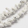 Natural Howlite Beads Strand X-G-F328-05-3